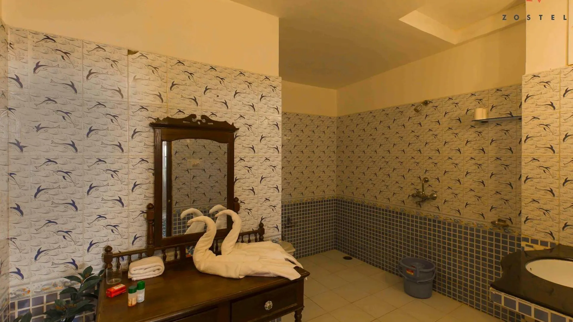 Zostel Udaipur Hostel