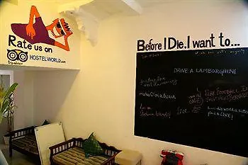 Zostel Udaipur Hostel India